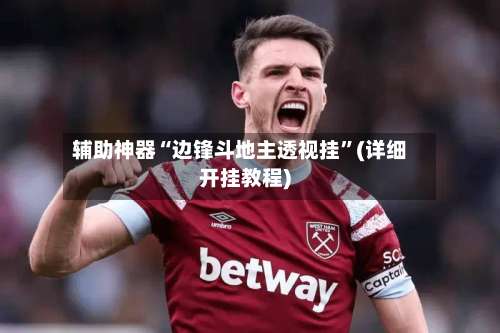 辅助神器“边锋斗地主透视挂	”(详细开挂教程)-第1张图片