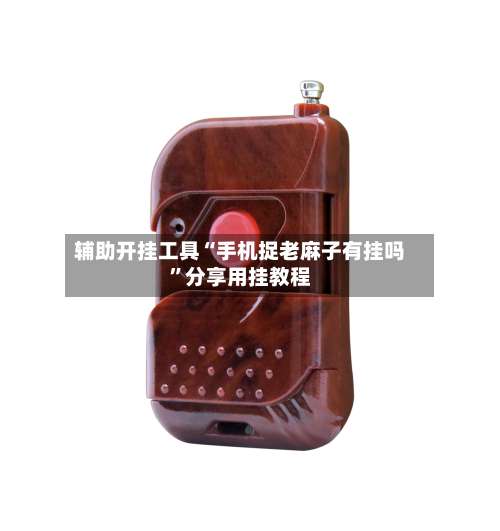 辅助开挂工具“手机捉老麻子有挂吗	”分享用挂教程-第2张图片