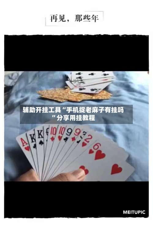 辅助开挂工具“手机捉老麻子有挂吗”分享用挂教程-第1张图片