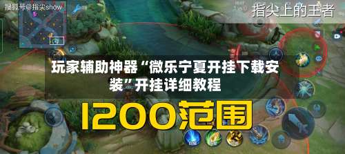 玩家辅助神器“微乐宁夏开挂下载安装”开挂详细教程-第3张图片