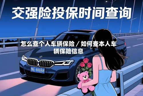 怎么查个人车辆保险／如何查本人车辆保险信息-第2张图片