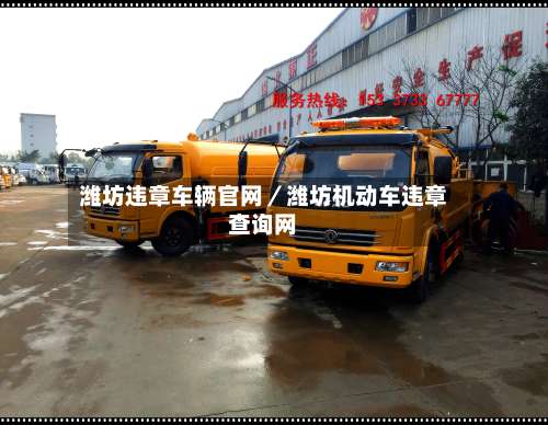 潍坊违章车辆官网／潍坊机动车违章查询网-第2张图片