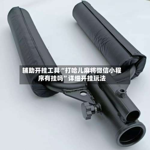 辅助开挂工具“打哈儿麻将微信小程序有挂吗”详细开挂玩法-第1张图片