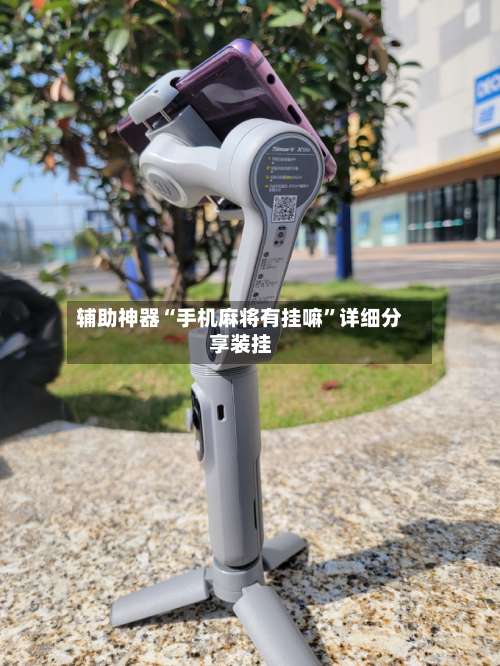 辅助神器“手机麻将有挂嘛”详细分享装挂-第2张图片