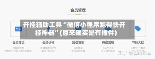 开挂辅助工具“微信小程序跑得快开挂神器”(原来确实是有插件)-第2张图片