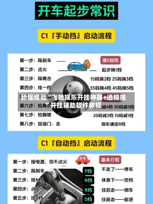 秒懂经验“飞驰娱乐开挂神器+透视挂”开挂辅助软件教程-第3张图片