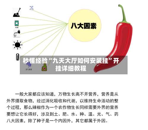 秒懂经验“九天大厅如何安装挂	”开挂详细教程-第2张图片