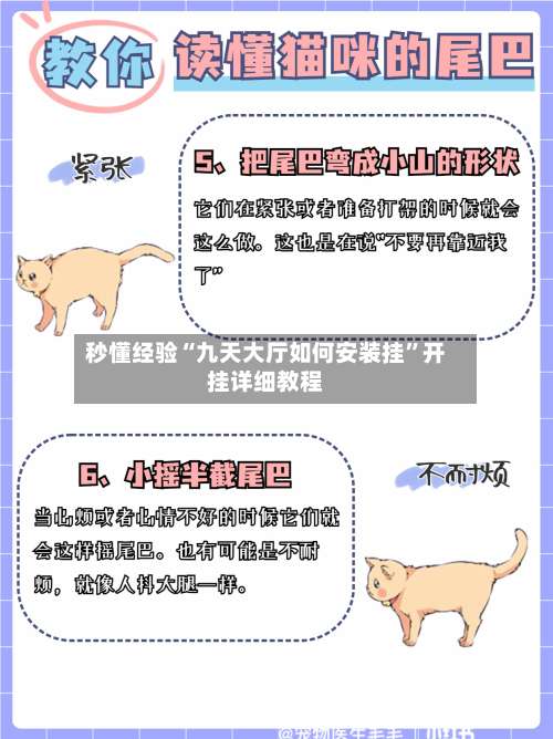 秒懂经验“九天大厅如何安装挂”开挂详细教程-第1张图片