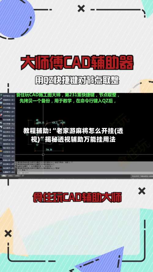 教程辅助!“老家游麻将怎么开挂(透视)”揭秘透视辅助万能挂用法-第1张图片