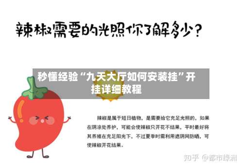 秒懂经验“九天大厅如何安装挂”开挂详细教程-第3张图片