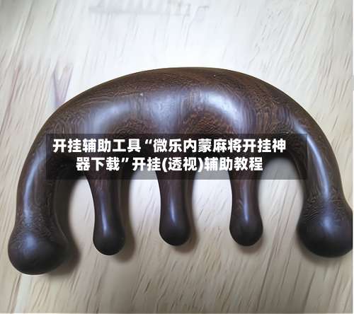 开挂辅助工具“微乐内蒙麻将开挂神器下载”开挂(透视)辅助教程-第2张图片