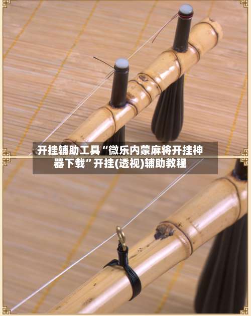 开挂辅助工具“微乐内蒙麻将开挂神器下载	”开挂(透视)辅助教程-第3张图片