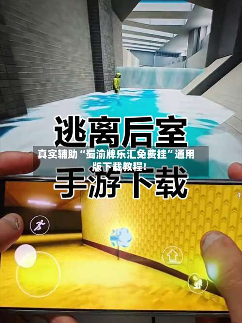 真实辅助“蜀渝牌乐汇免费挂”通用版下载教程!-第2张图片