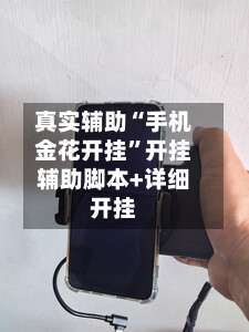 真实辅助“手机金花开挂”开挂辅助脚本+详细开挂-第2张图片