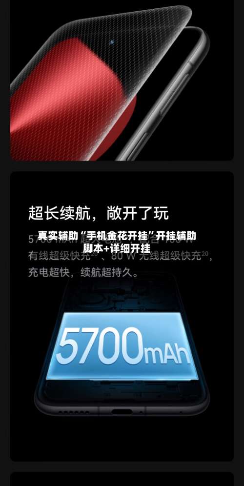 真实辅助“手机金花开挂	”开挂辅助脚本+详细开挂-第1张图片