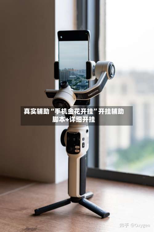 真实辅助“手机金花开挂”开挂辅助脚本+详细开挂-第3张图片