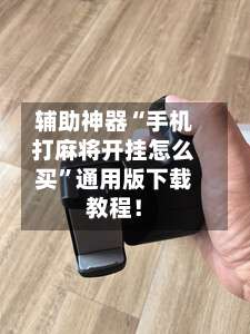 辅助神器“手机打麻将开挂怎么买”通用版下载教程！-第2张图片