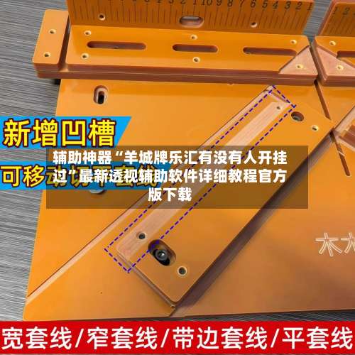 辅助神器“羊城牌乐汇有没有人开挂过”最新透视辅助软件详细教程官方版下载-第1张图片