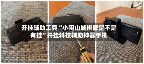 开挂辅助工具“小闲山城棋牌是不是有挂”开挂科技辅助神器手机-第3张图片