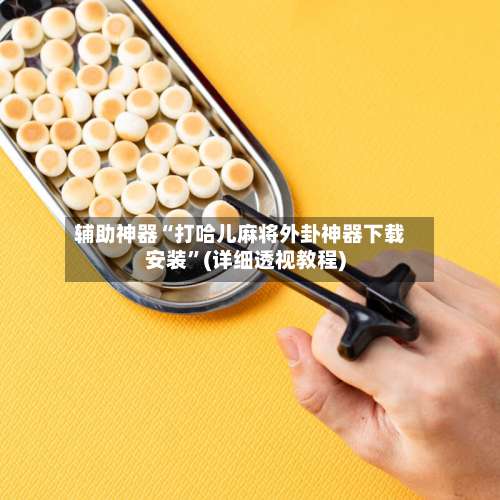 辅助神器“打哈儿麻将外卦神器下载安装	”(详细透视教程)-第2张图片