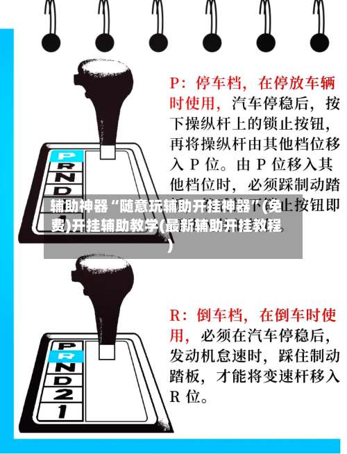 辅助神器“随意玩辅助开挂神器”(免费)开挂辅助教学(最新辅助开挂教程)-第1张图片