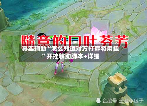 真实辅助“怎么知道对方打麻将用挂”开挂辅助脚本+详细-第1张图片