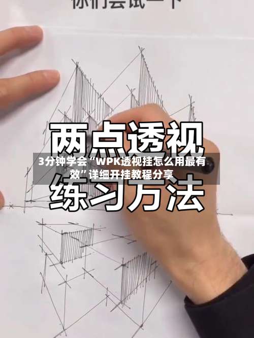 3分钟学会“WPK透视挂怎么用最有效”详细开挂教程分享-第3张图片