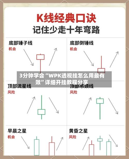 3分钟学会“WPK透视挂怎么用最有效	”详细开挂教程分享-第1张图片