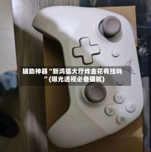 辅助神器“新鸿狐大厅炸金花有挂吗”(曝光透视必备猫腻)-第3张图片