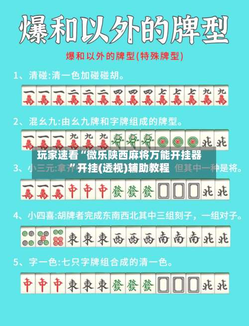 玩家速看“微乐陕西麻将万能开挂器”开挂(透视)辅助教程-第3张图片