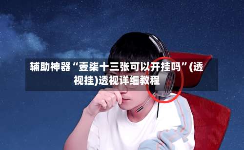 辅助神器“壹柒十三张可以开挂吗”(透视挂)透视详细教程-第1张图片