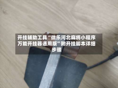 开挂辅助工具“微乐河北麻将小程序万能开挂器通用版	”附开挂脚本详细步骤-第2张图片