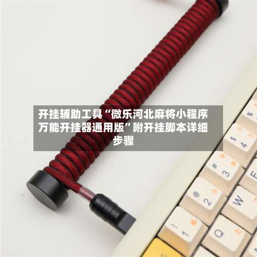 开挂辅助工具“微乐河北麻将小程序万能开挂器通用版”附开挂脚本详细步骤-第1张图片