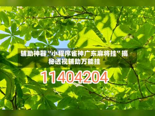 辅助神器“小程序雀神广东麻将挂	”揭秘透视辅助万能挂-第1张图片