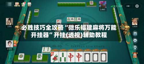 必胜技巧全攻略“微乐福建麻将万能开挂器”开挂(透视)辅助教程-第3张图片