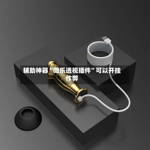 辅助神器“微乐透视插件”可以开挂作弊-第1张图片