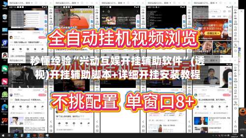 秒懂经验“兴动互娱开挂辅助软件”(透视)开挂辅助脚本+详细开挂安装教程-第2张图片