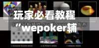 玩家必看教程“wepoker辅助透视作弊挂”通用版下载教程！-第2张图片