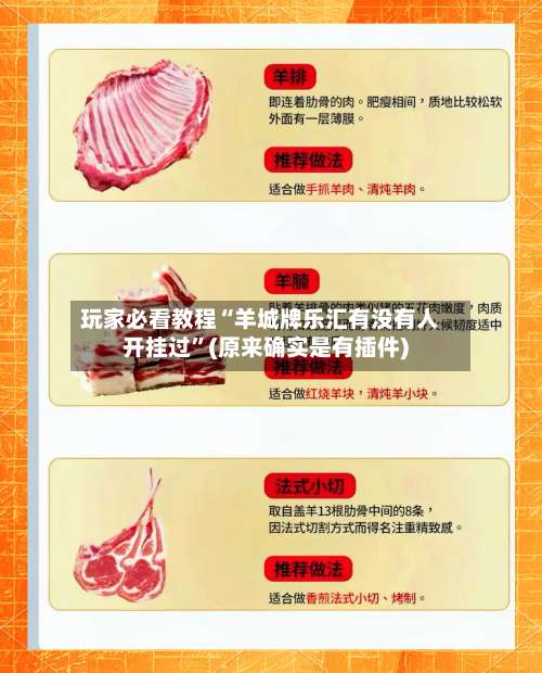 玩家必看教程“羊城牌乐汇有没有人开挂过”(原来确实是有插件)-第2张图片