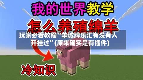 玩家必看教程“羊城牌乐汇有没有人开挂过	”(原来确实是有插件)-第1张图片