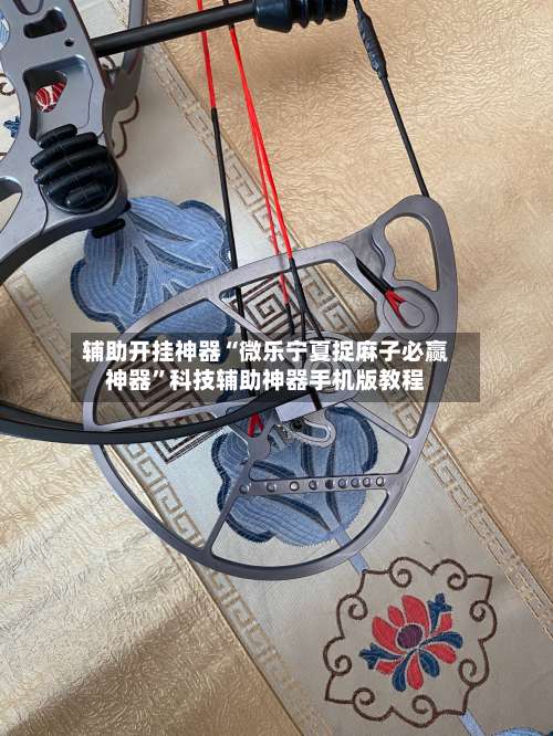 辅助开挂神器“微乐宁夏捉麻子必赢神器”科技辅助神器手机版教程-第1张图片