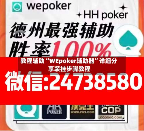教程辅助“WEpoker辅助器”详细分享装挂步骤教程-第3张图片