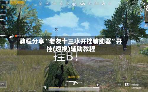 教程分享“老友十三水开挂辅助器”开挂(透视)辅助教程-第2张图片