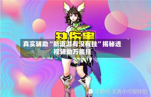 真实辅助“新道游有没有挂”揭秘透视辅助万能挂-第2张图片