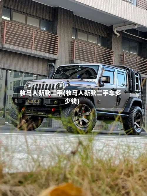 牧马人新款二手(牧马人新款二手车多少钱)-第3张图片