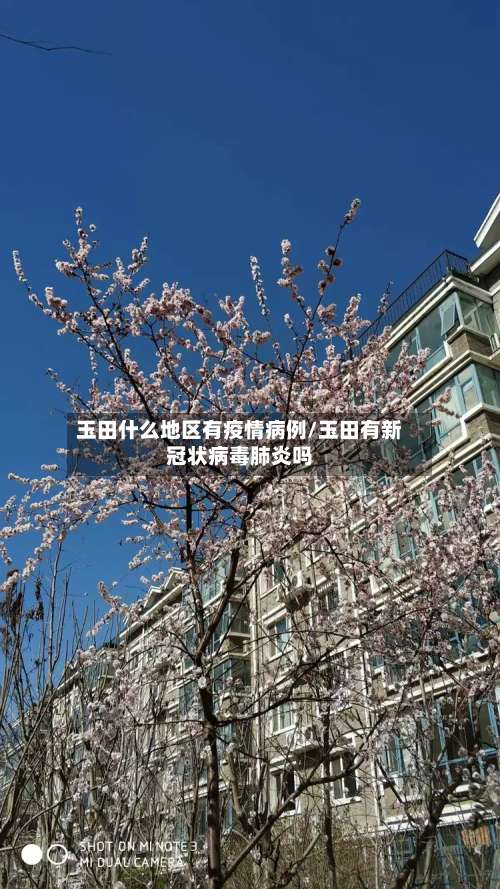 玉田什么地区有疫情病例/玉田有新冠状病毒肺炎吗-第2张图片