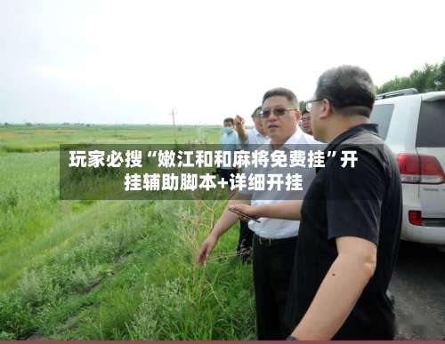 玩家必搜“嫩江和和麻将免费挂”开挂辅助脚本+详细开挂-第1张图片