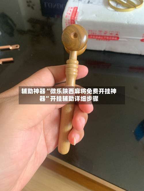 辅助神器“微乐陕西麻将免费开挂神器	”开挂辅助详细步骤-第2张图片