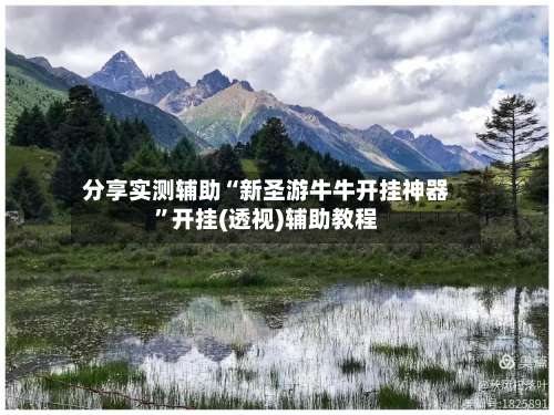 分享实测辅助“新圣游牛牛开挂神器”开挂(透视)辅助教程-第3张图片