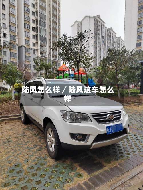 陆风怎么样／陆风这车怎么样-第1张图片